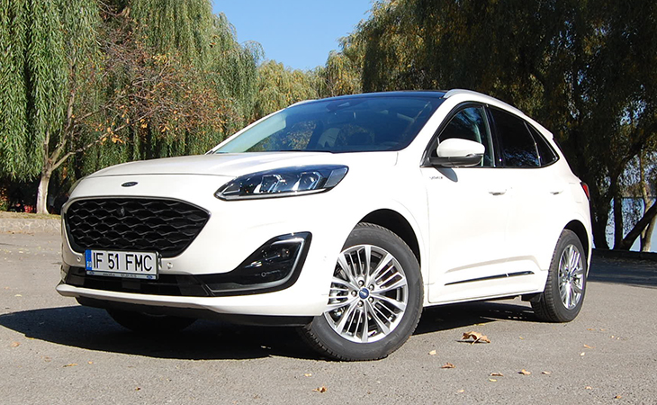Test Ford mare